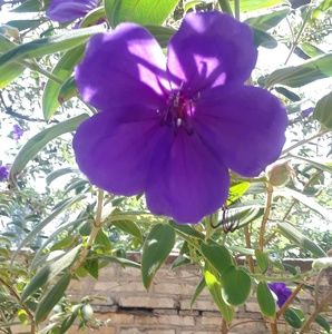 Meet your Posher, Jacqueline